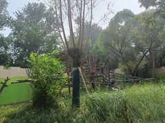 -燕郊植物园