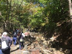 -三块石国家森林公园