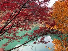 -叠溪松坪沟景区