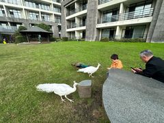 -天目湖涵田度假村