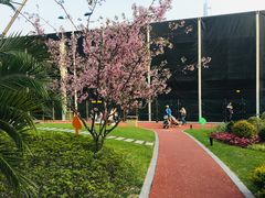 -北外滩滨江绿地