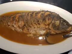 红烧黄河大鲤鱼-阿庄新豫菜(通泰路店)