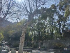 -湖北中医药大学(昙华林校区)
