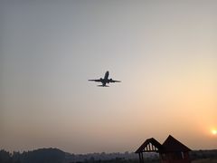 -空港花田景区