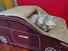 -H立方实景剧情密室(天河旗舰店)