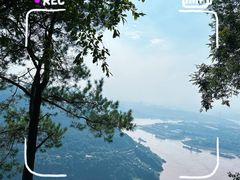 -铁山坪森林公园