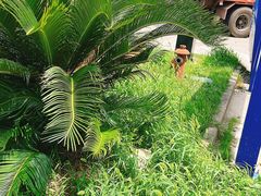 -合庆服务区-停车场