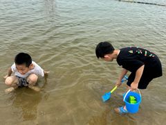 -碧海金沙