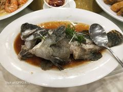 -金河半岛园林酒家(金融城店)