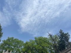 -西安碑林博物馆