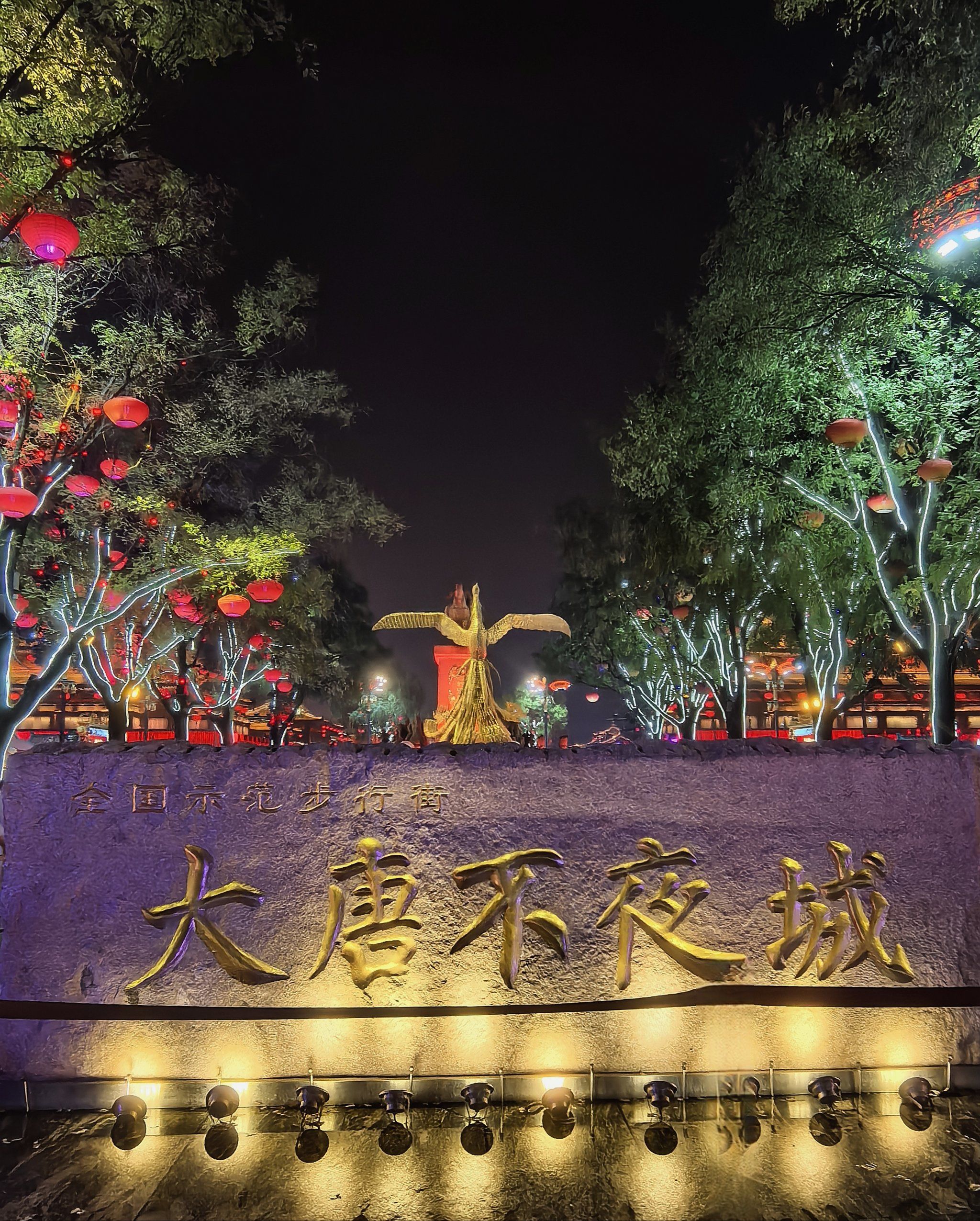 今天的夜晚被大唐不夜城承包了!我们到的比