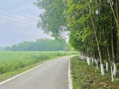 -桤木河湿地公园