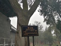 -关林