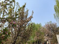 -元大都城垣遗址公园