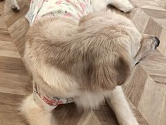 -怪兽屋·羊驼·猫咖·狗咖(俊华广场店)