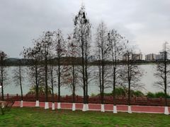 -鹤之洲湿地公园