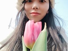 -秀丽东方