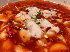 蜀乡水煮鱼-唐拉雅秀酒店-唐苑中餐厅