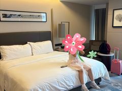 -宁波威斯汀酒店