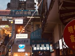 -猫咪博物馆(顶澳仔猫街店)