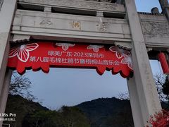 -梧桐山风景名胜区