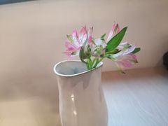 -boundaries籬苑(瑞光创意工厂-贰号院店)