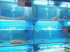 -鸽子侯·家宴·平价海鲜(市图书馆店)