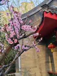 -琅悦月子会所(香格里拉旗舰店)
