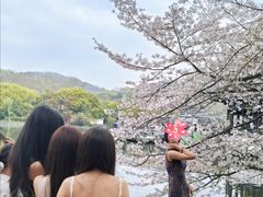 -印象西湖·最忆是杭州实景演出