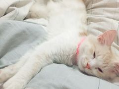 -Pets First伊珊娜洗护·精致美容·家庭式寄养(新会路店)