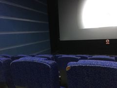 -齐纳激光IMAX影城(张店银座店)