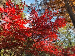 -敬亭山风景名胜区