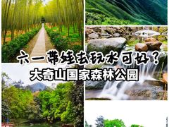 -大奇山国家森林公园