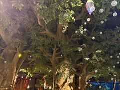 -杭州开元森泊度假乐园