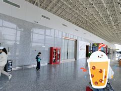 -张家界荷花国际机场