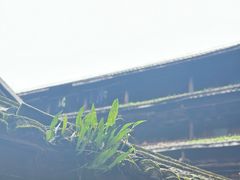 -初溪土楼群