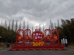 -黄海国家森林公园