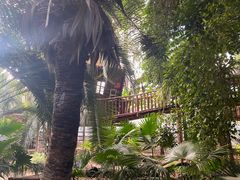 -呀路古热带植物园