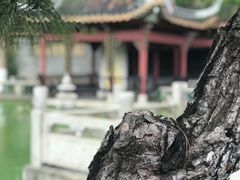 -碧江金楼