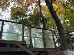 -云碧峰国家森林公园