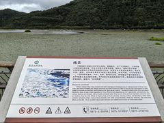 -腾冲北海湿地
