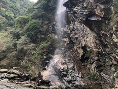 -少华山国家森林公园