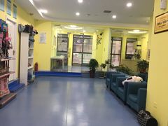 -瑞鹏宠物医院·爱宠堂·骨外专科(西荷分院)