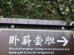 -白马涧龙池景区