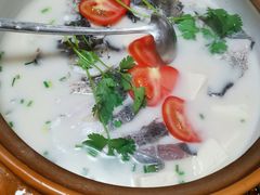 -全乐鱼馆·淳牌有机鱼直营店