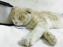 -惠康宠物医院(华能路店)