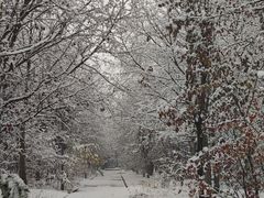 -长春市南湖公园