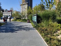 -莲花池公园