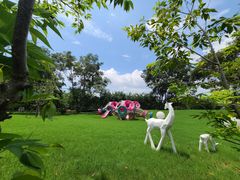 -福建鲤鱼洲酒店