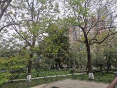 -成都市活水公园